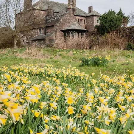 Hall فندق مبيت وإفطار