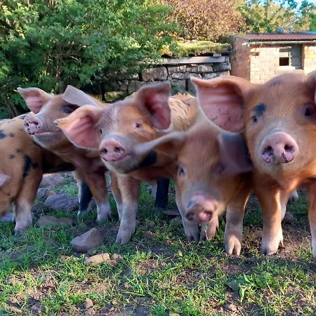 Hall ベッド・アンド・ブレックファスト Johnby